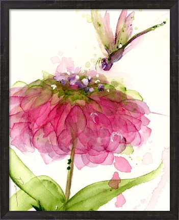 Framed Dragonfly and Zinnia Print