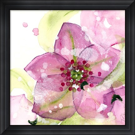 Framed Pink Flower in the Snow Print