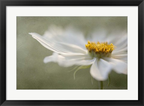 Framed Whisper Print