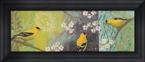 Framed Goldfinches Blooming Print