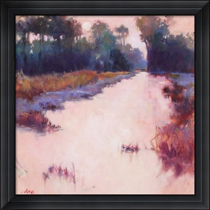 Framed Coral Dawn Print