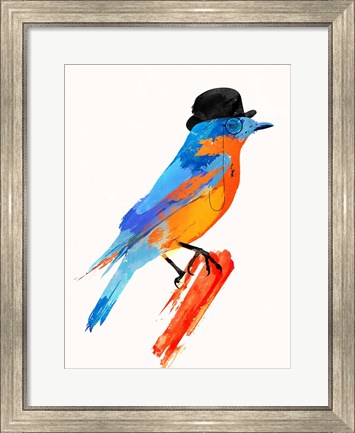 Framed Lord Bird Print
