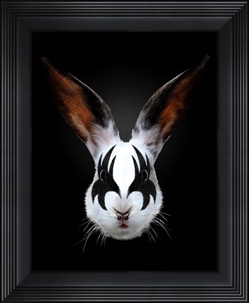 Framed Rabbit Rocks Print