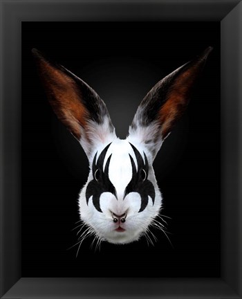 Framed Rabbit Rocks Print