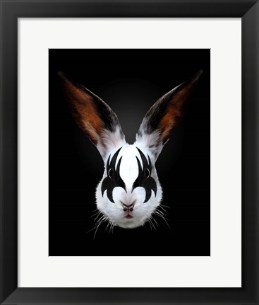 Framed Rabbit Rocks Print