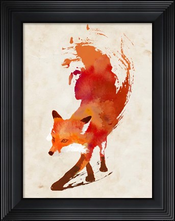 Framed Vulpes Vulpes Print