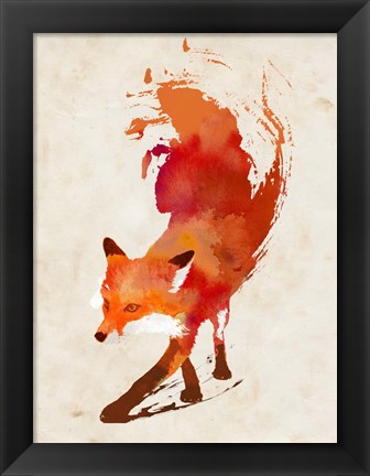 Framed Vulpes Vulpes Print