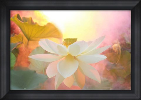 Framed Arise Print