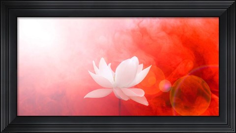 Framed Lotus in Flames Print
