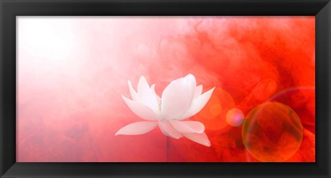 Framed Lotus in Flames Print