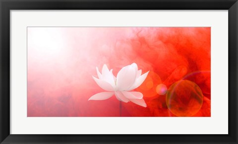 Framed Lotus in Flames Print