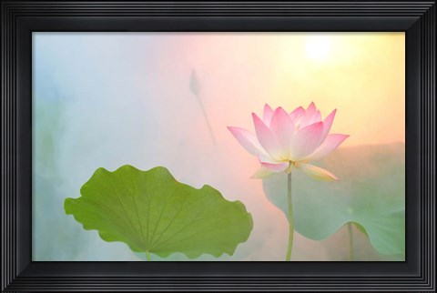 Framed Serenity Print
