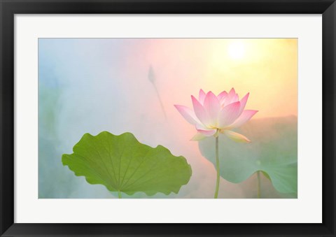 Framed Serenity Print