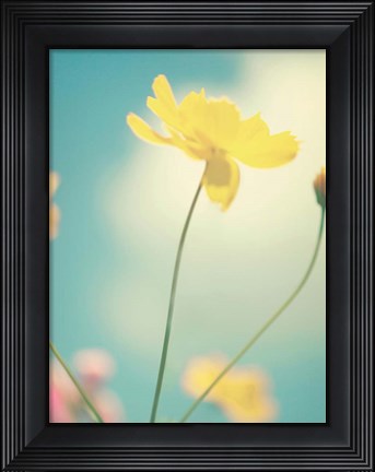 Framed Summer Breeze Print