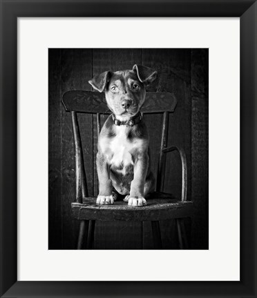 Framed Mutt Black &amp; White Print