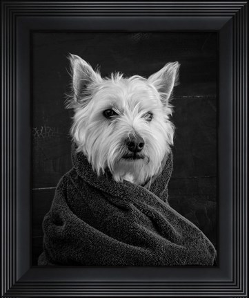 Framed Portrait of a Westy Dog Print