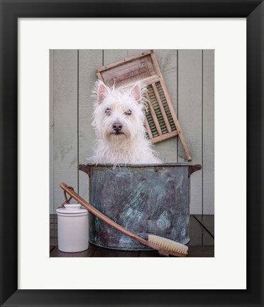 Framed Washing the Dog Print