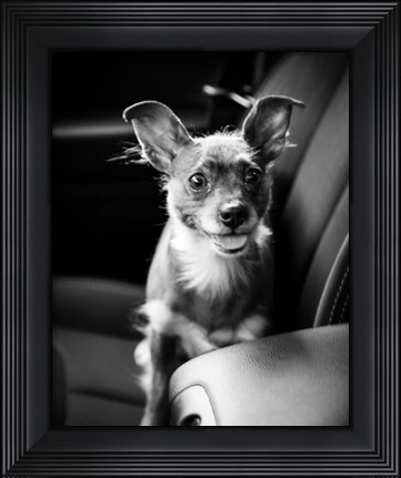 Framed We Goin&#39; for a Ride Print