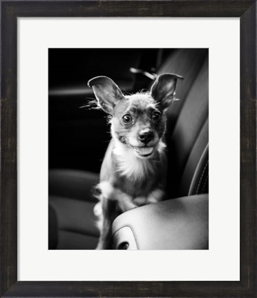 Framed We Goin&#39; for a Ride Print