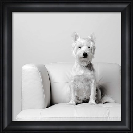 Framed White on White Print