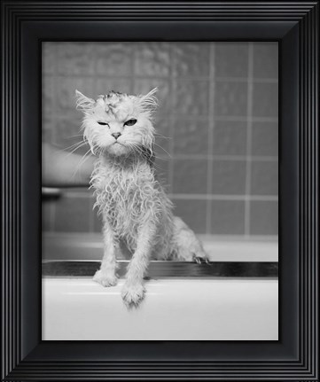 Framed Bert&#39;s Bath Print