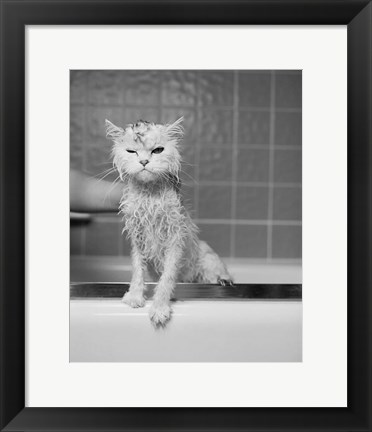 Framed Bert&#39;s Bath Print