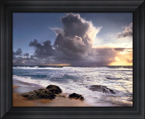 Framed Forces of Nature Print