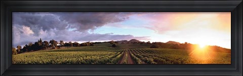 Framed Gout de Terroir Print