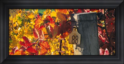 Framed Row 88 Print