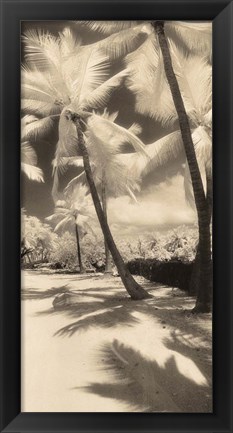 Framed Palm Shadows II Print