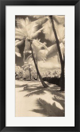 Framed Palm Shadows II Print