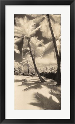 Framed Palm Shadows II Print