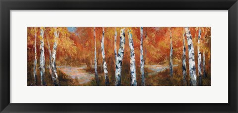 Framed Autumn Birch II Print