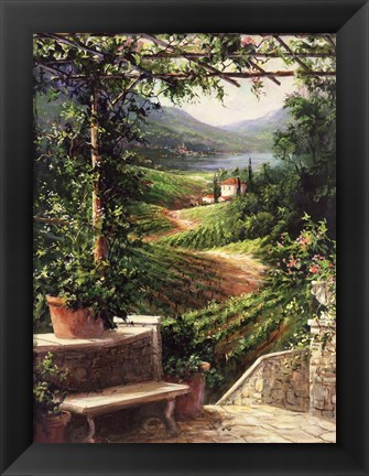 Framed Chianti Vineyard Print