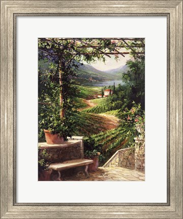 Framed Chianti Vineyard Print