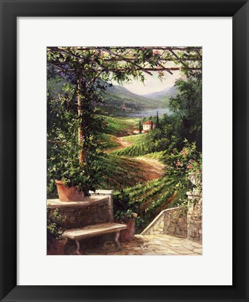 Framed Chianti Vineyard Print