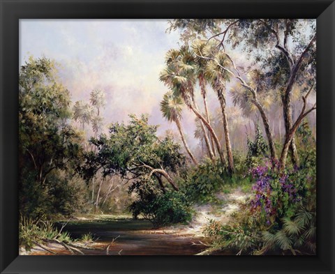 Framed Myakka River Scene Print