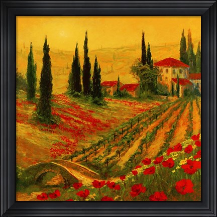 Framed Poppies of Toscano I Print
