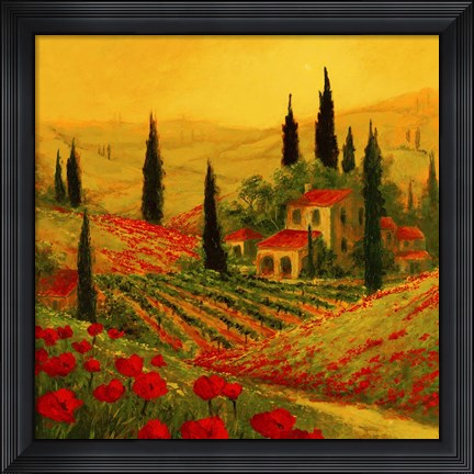 Framed Poppies of Toscano II Print