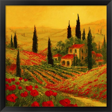 Framed Poppies of Toscano II Print