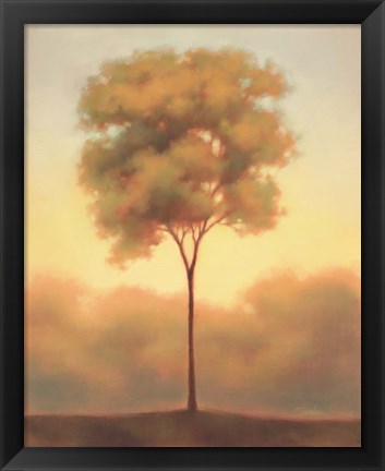 Framed Solitude III Print