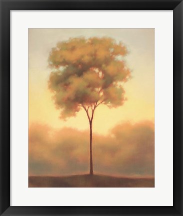 Framed Solitude III Print