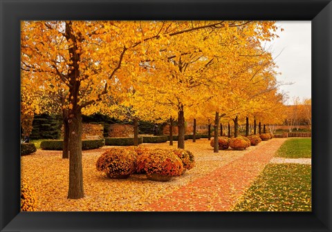 Framed Fall Walkway Print