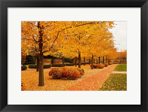 Framed Fall Walkway Print