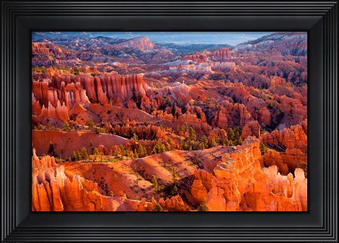 Framed Morning Light Print