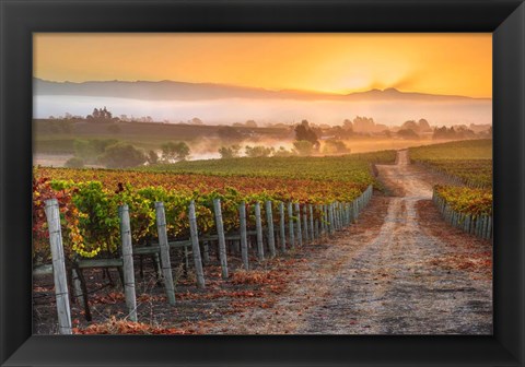 Framed Vineyard Sunrise Print