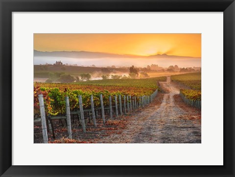 Framed Vineyard Sunrise Print