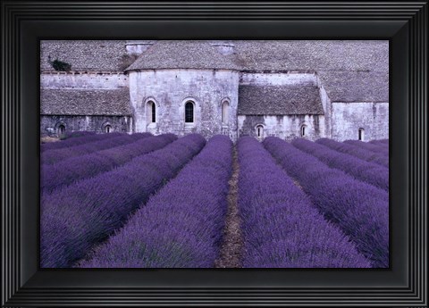 Framed Lavender Abbey Print