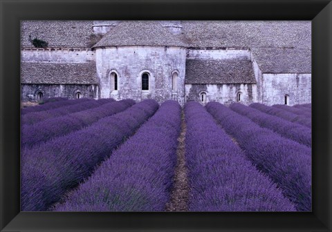 Framed Lavender Abbey Print