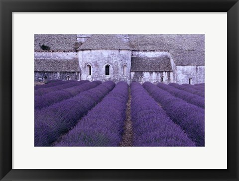 Framed Lavender Abbey Print